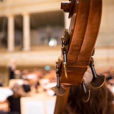 An artistic photo of the end of a cello. Symbolises the services for education ensembles