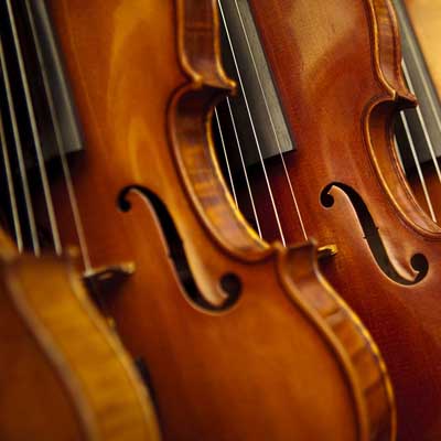 Violins all lined up, symbolising GCSE/A Level Music Ensemble Support