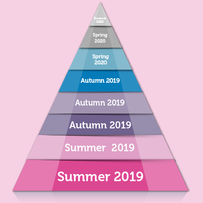 Screenshot of the RSE Roadmap without the information and links