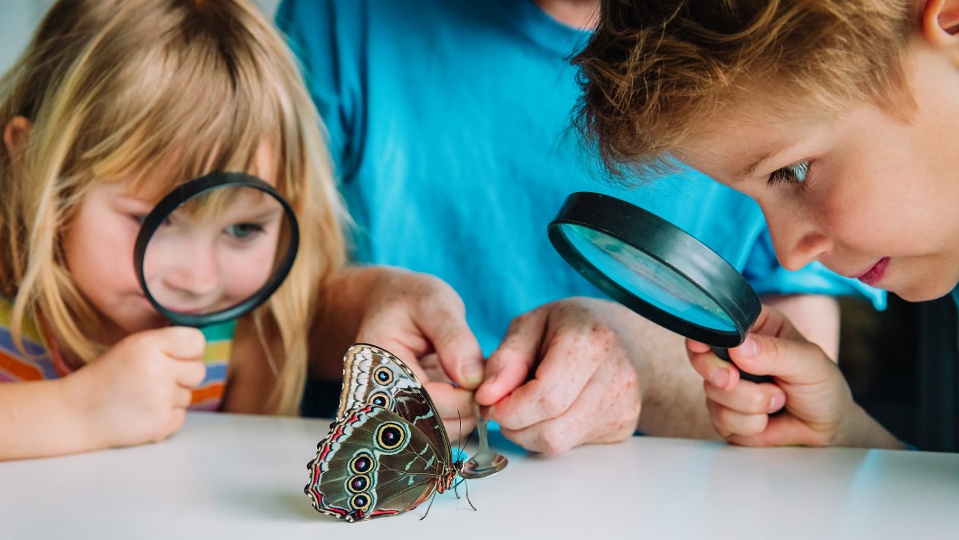 11 Science Resources and Activities For Parents, Teachers and Pupils