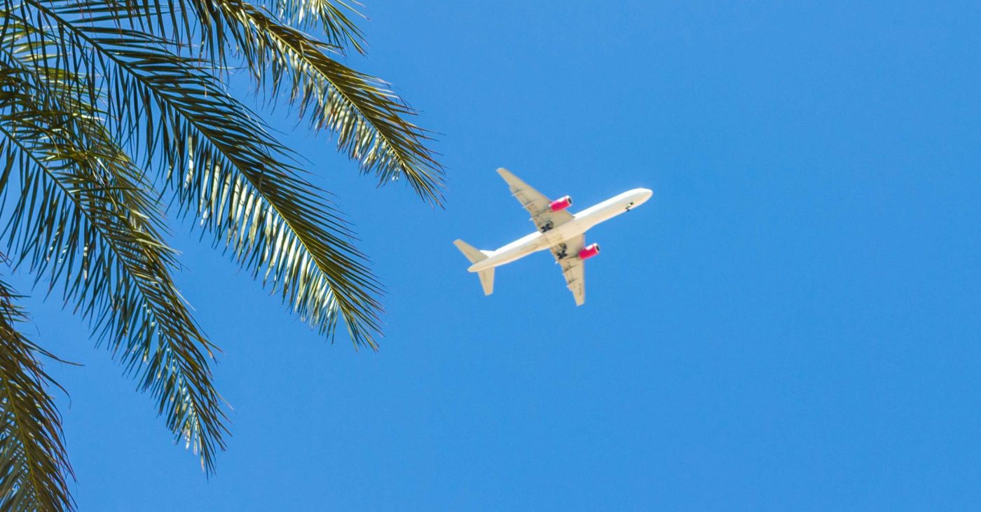 airplane flying over tropical palm trees. clear blue sky vacation time