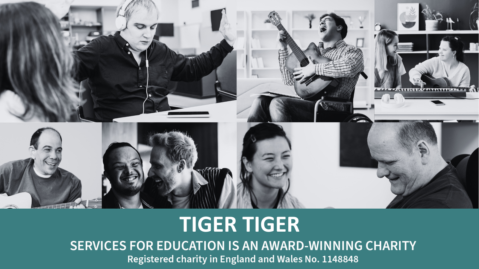 Tiger Tiger; An End of Year Update - Services For Education