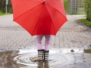 Update for Existing DSLs on Safeguarding and Child Protection (Online)