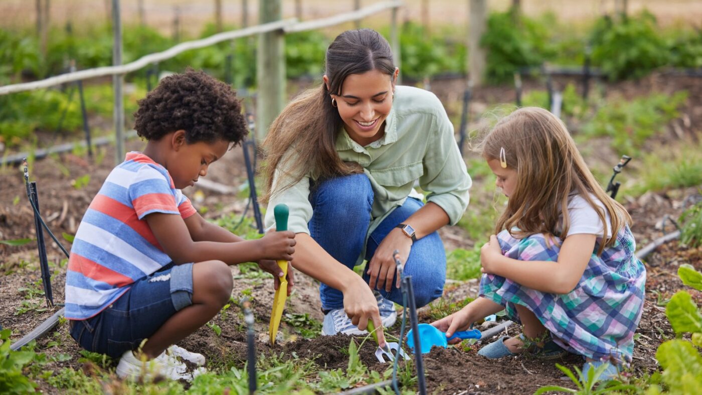 School Vegetable Gardens: Key Hints and Tips